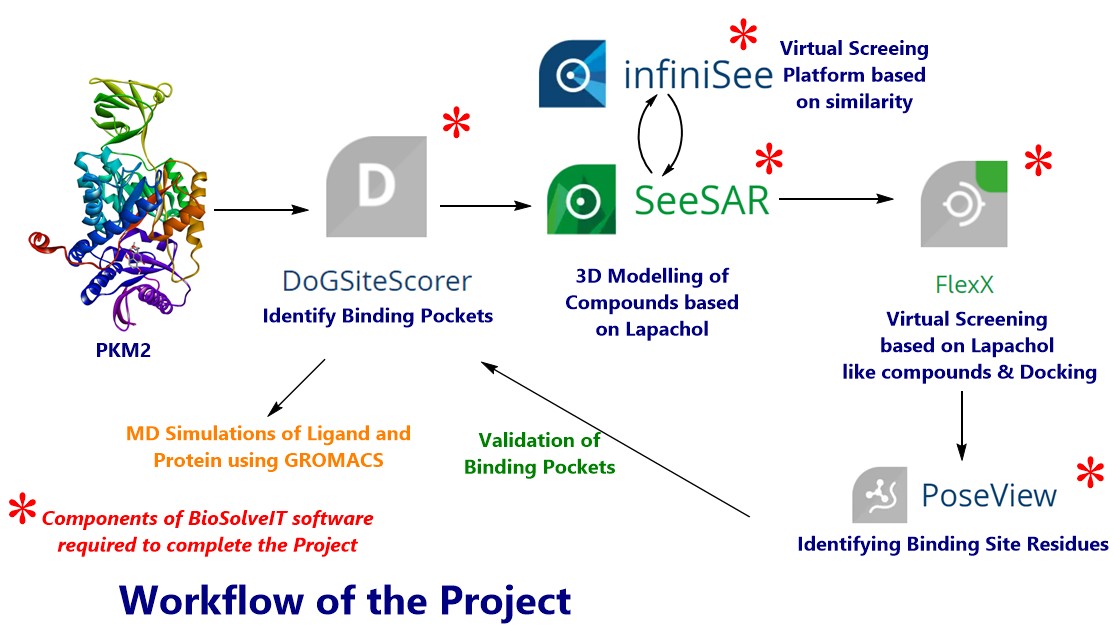 project picture